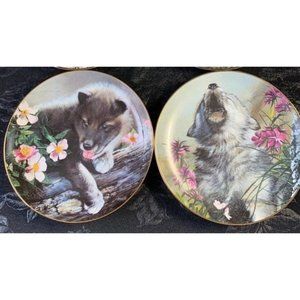 Wolf Pups: Young Faces of the Wilderness- 2 Plates